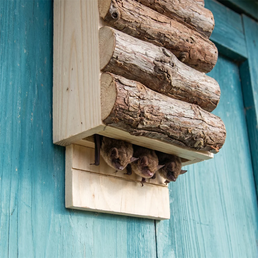 Erik&rsquo;s Hand-Built Bat House