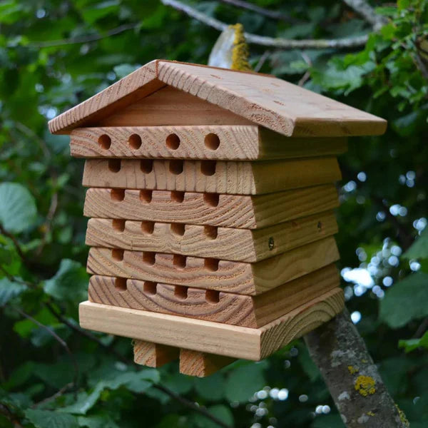 Julian&rsquo;s Wild Bee Hotel 1