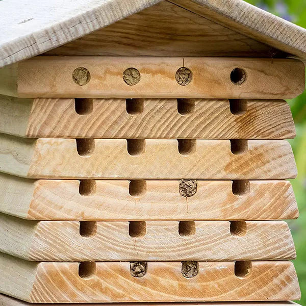 Julian&rsquo;s Wild Bee Hotel 5
