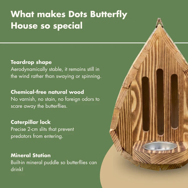 Helen&rsquo;s Handcrafted Butterfly House 3